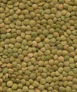 Green- Lentils-img