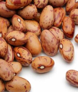 Pinto Beans For Sale