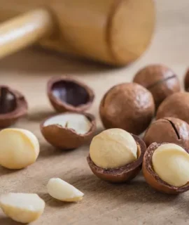 Macadamia nut roasted with shells for sale