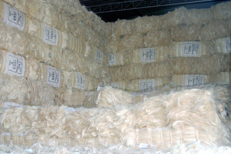 Sisal Fiber for sale