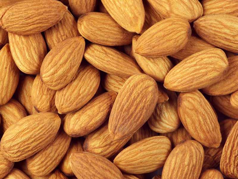 Almond Nuts for sale