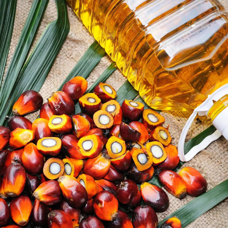 Palm Oil for sale